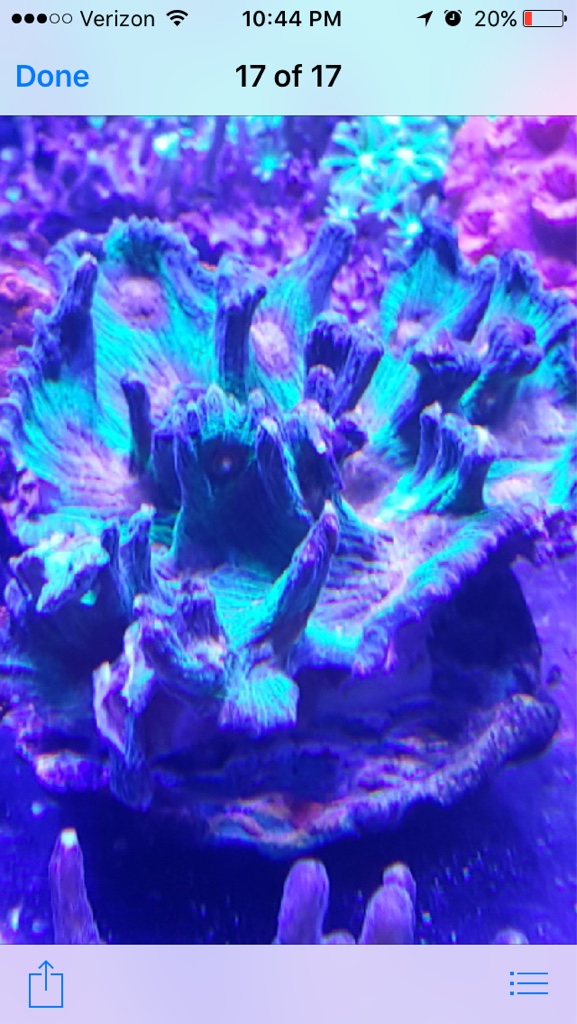 b2bd16db6fe046910f45ae176ac43fd5.png