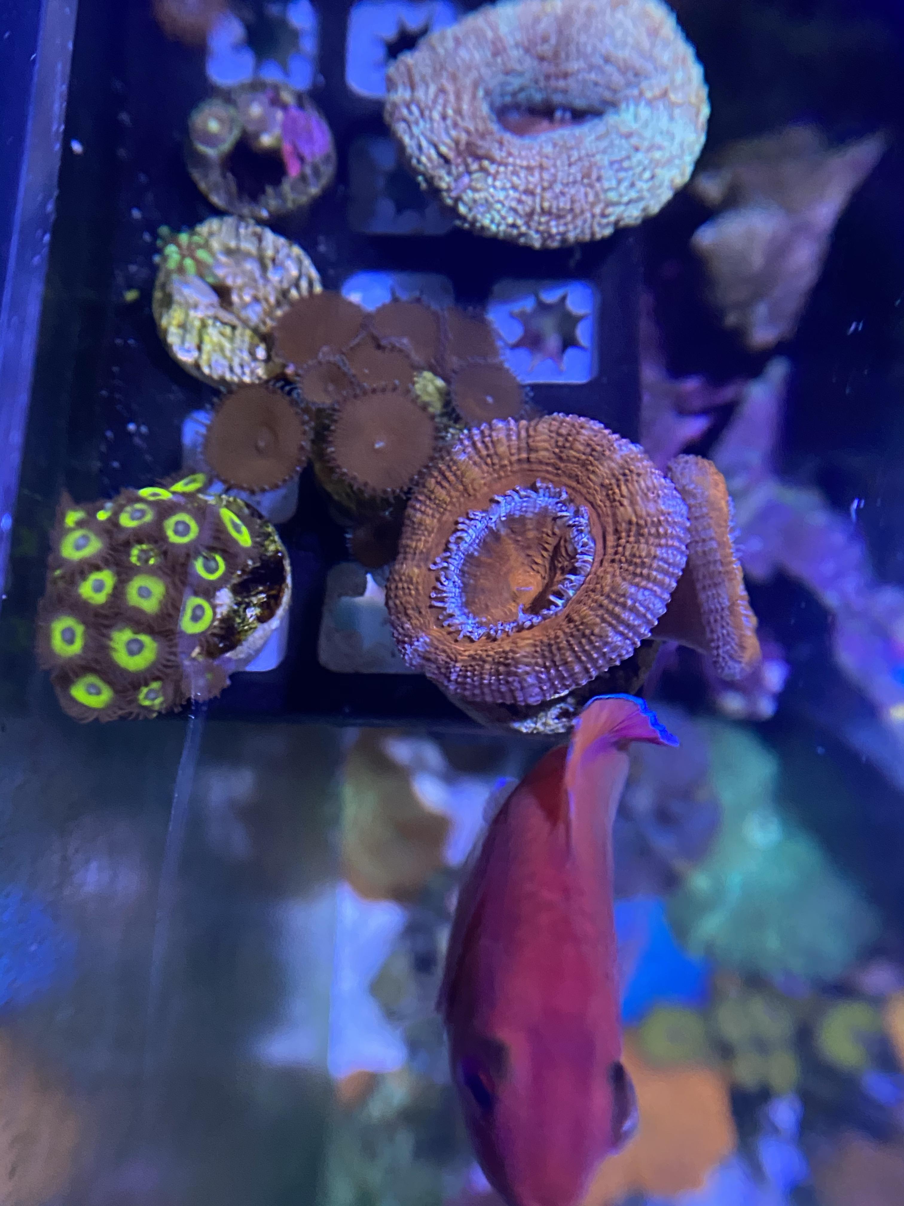 f76033b018259af990f8ad54fa244f70.jpg