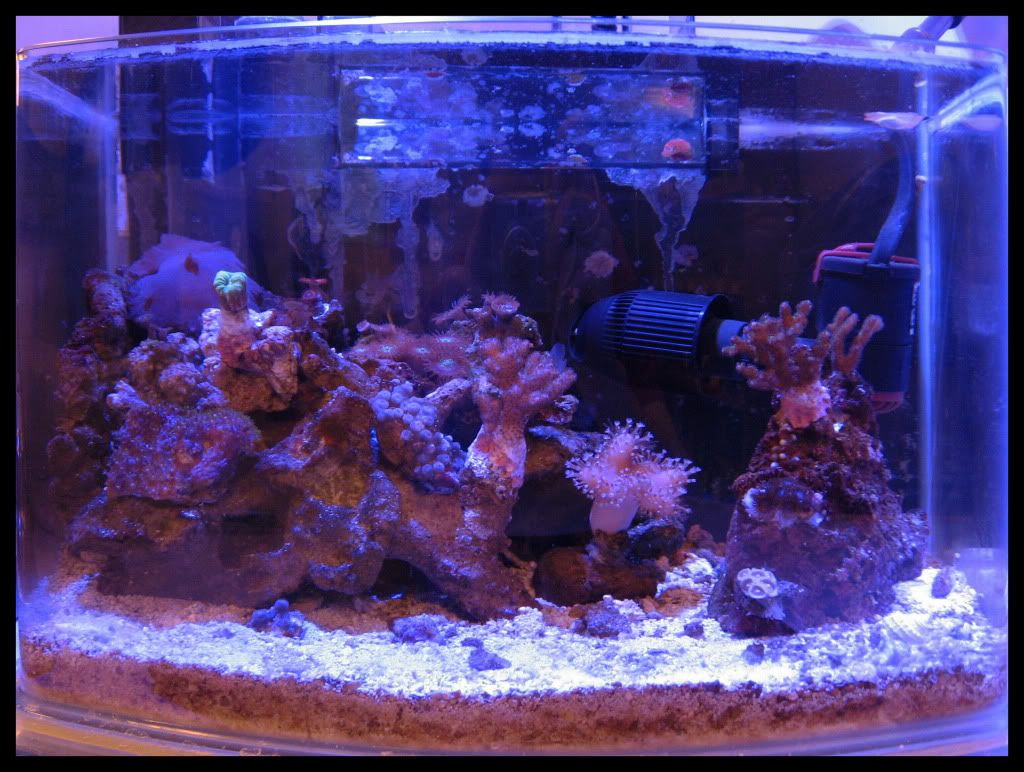 FTS_20101221.jpg
