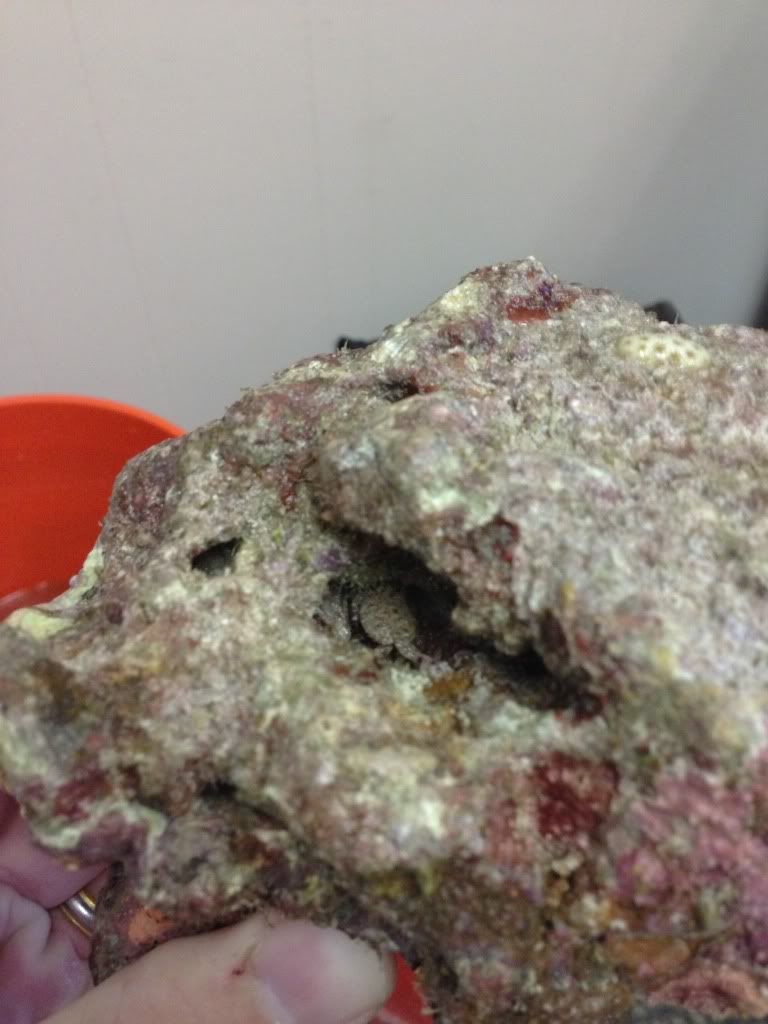photo9_zps0d57ada4.jpg