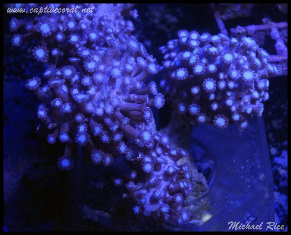 4c6646c297c2004d4da22b06249efdc5.jpg