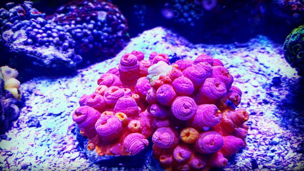 74072fe3d40407dfeac0992b83b689d5.jpg