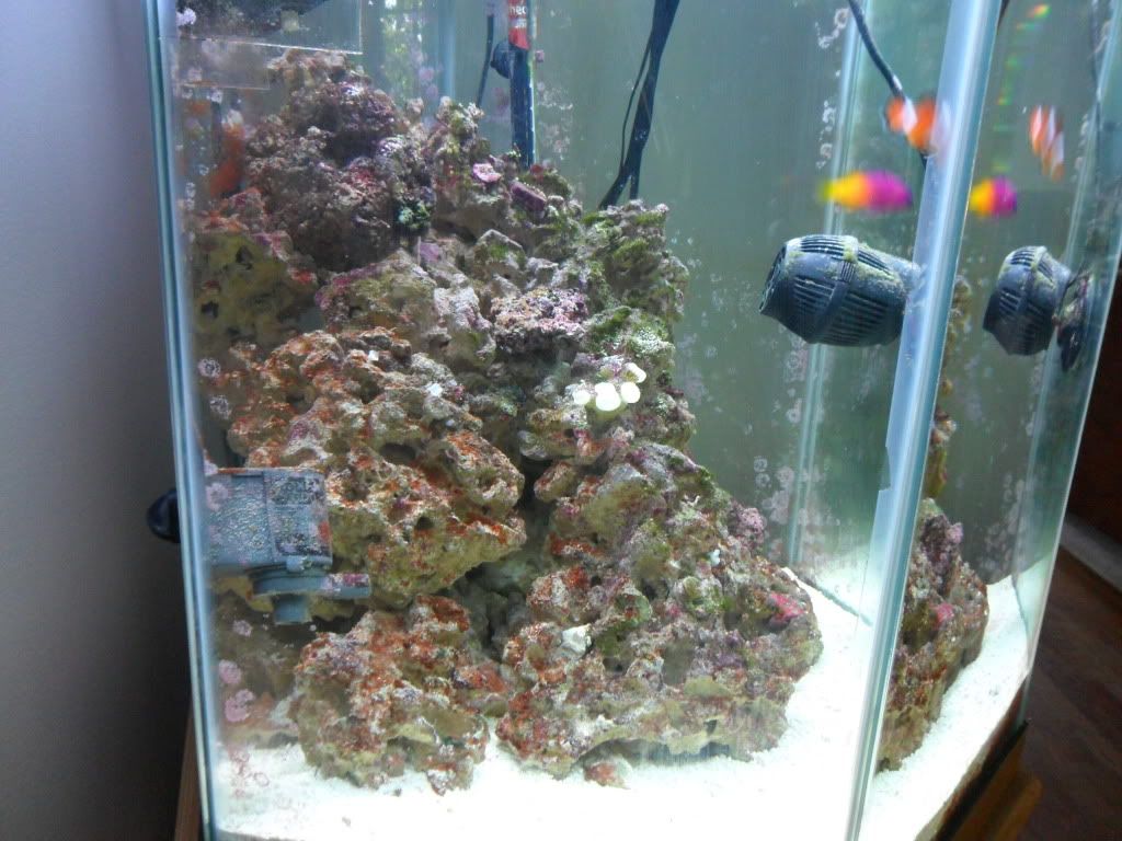 AquaScapingContest004.jpg