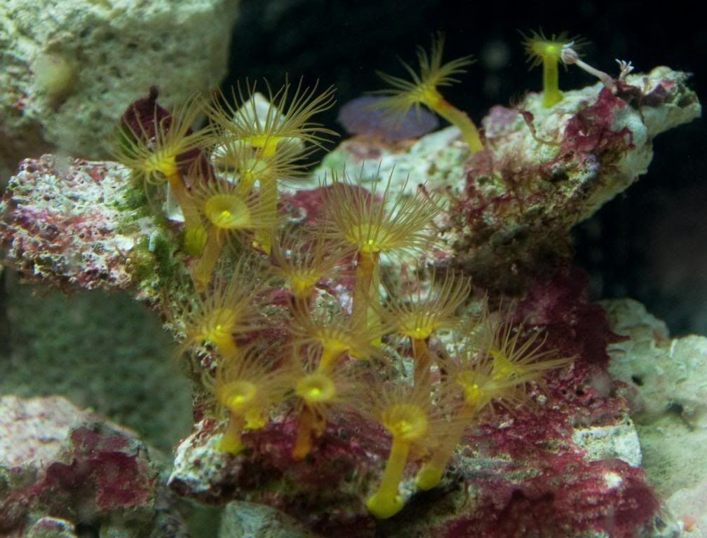 2009-07-30Aquarium-5.jpg
