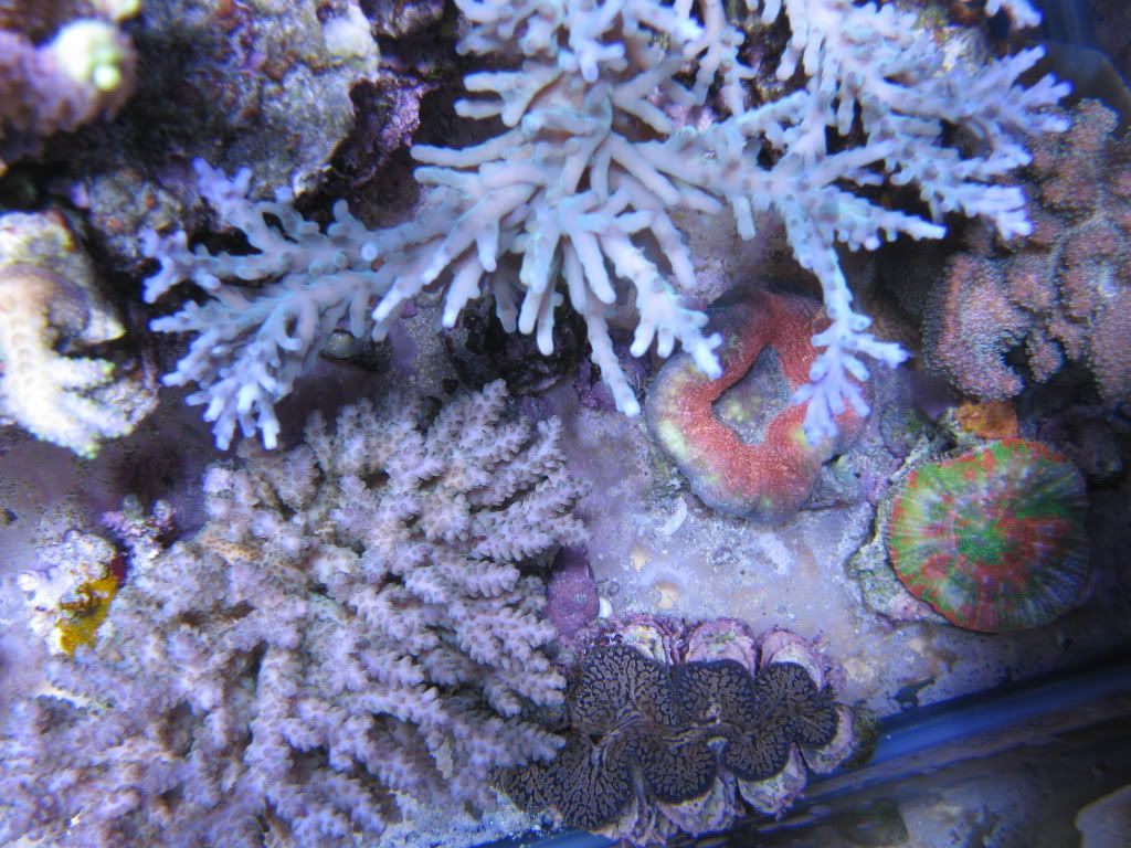 IMG_0865.jpg