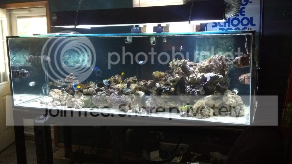 2012-08-28_11-31-40_610.jpg
