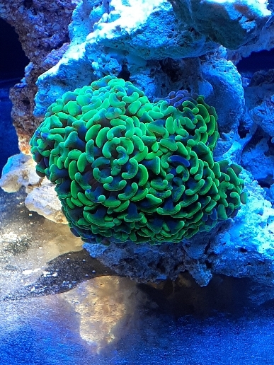 4305c0c1f5231b4185d7beff03411f81.jpg