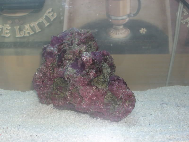 06b-SkullyRock.jpg