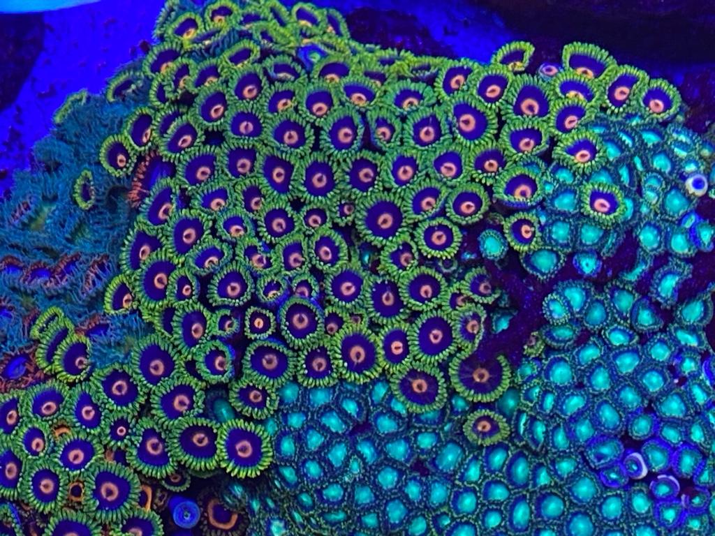 79b8105806dd209c76e1fe7459074f55.jpg