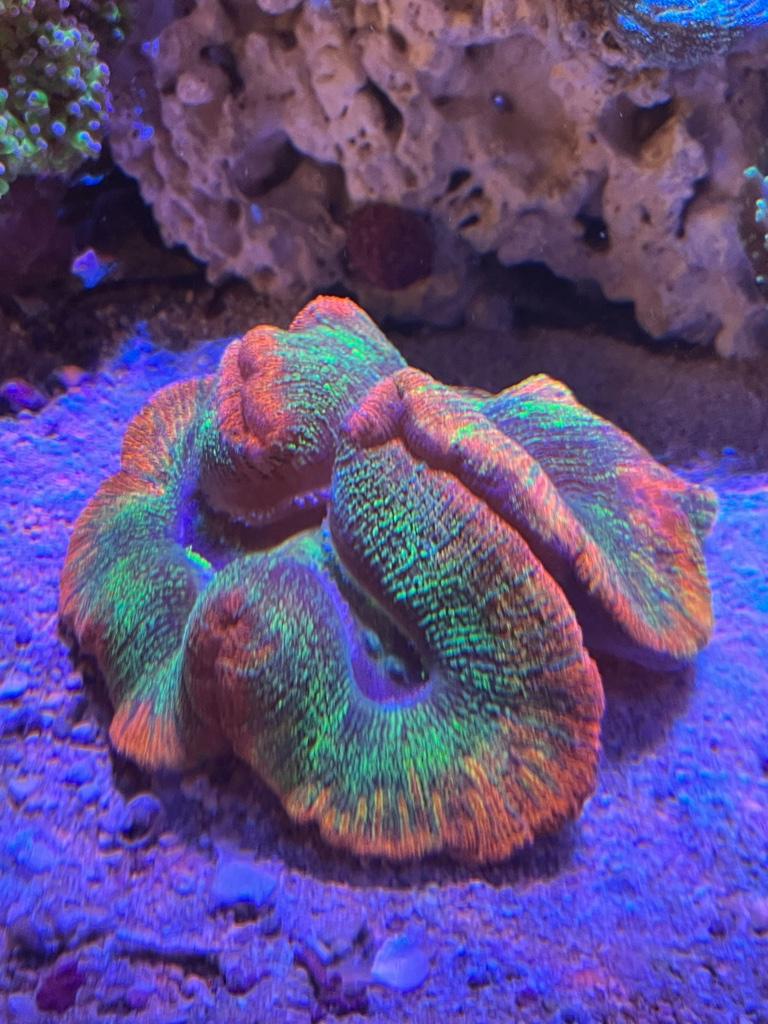 d77c314cb20b7b937324f4b17eb2c377.jpg