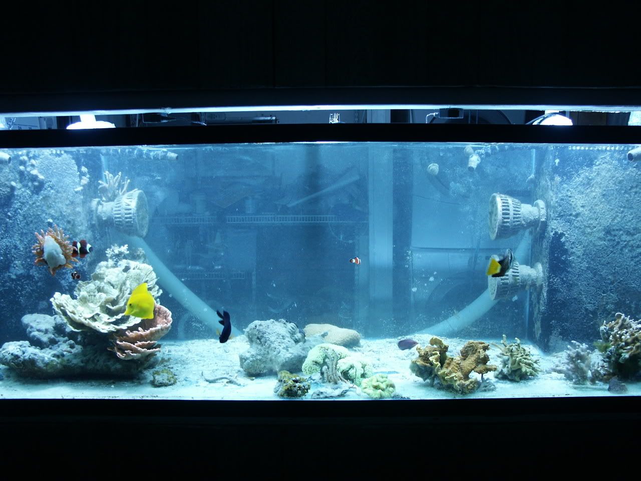 PICT0151.jpg