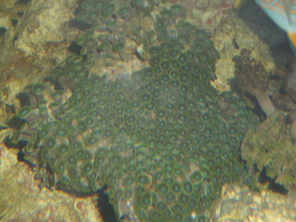 GEDC0172.jpg