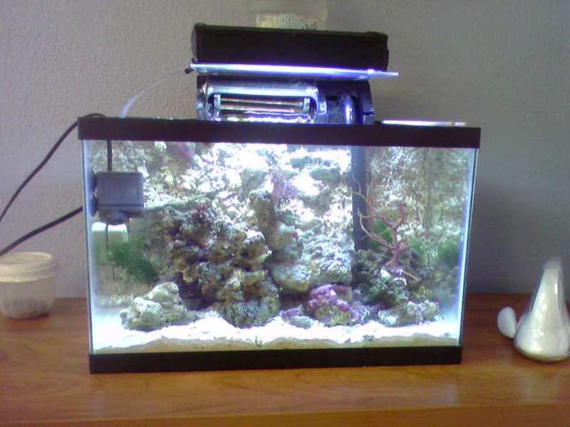 132965new_nano-day1-med.jpg