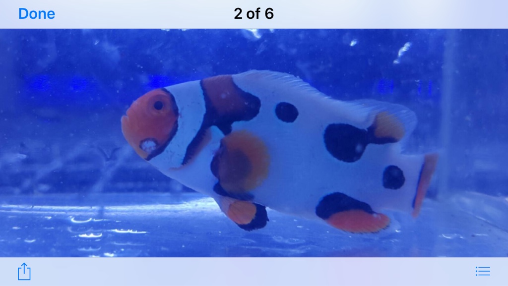 47ea73c193514cc6bed5efec7a81cb6b.png