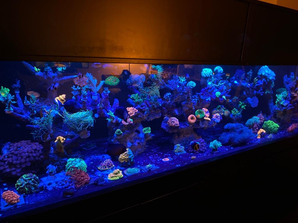 e26a238a660a40f9f104642936f08ccc.jpg