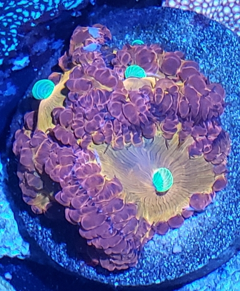 416dd07d3267d3caaa420841d01f01a9.jpg