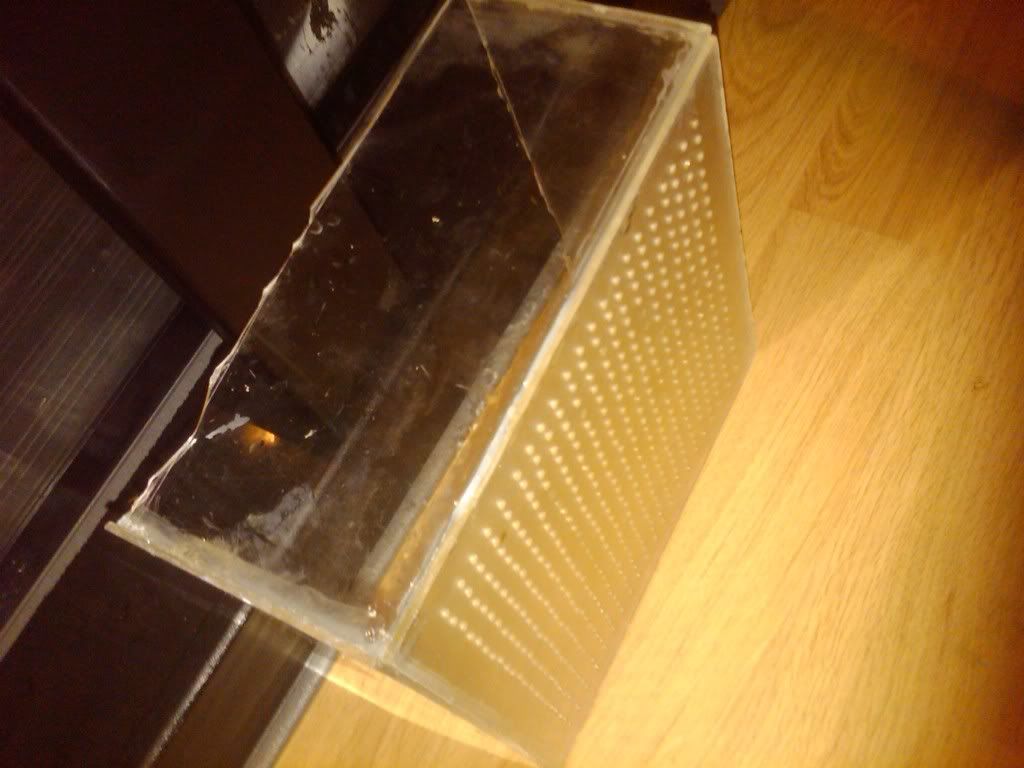 IMG00294-20091122-1841.jpg