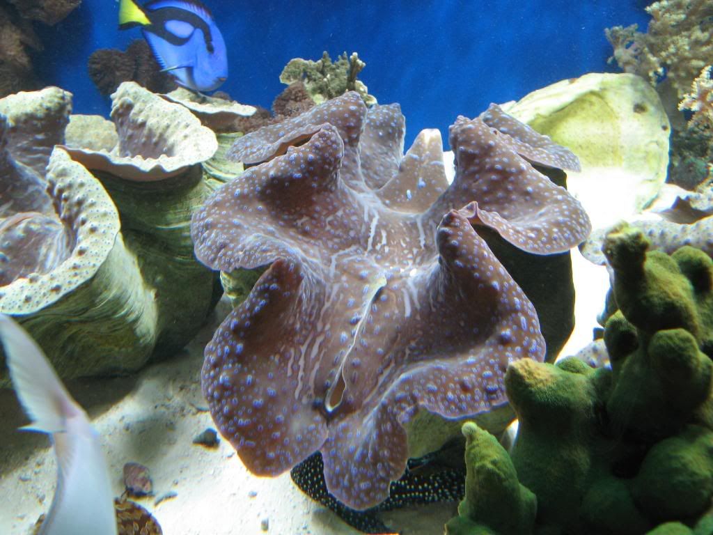 IMG_0266.jpg