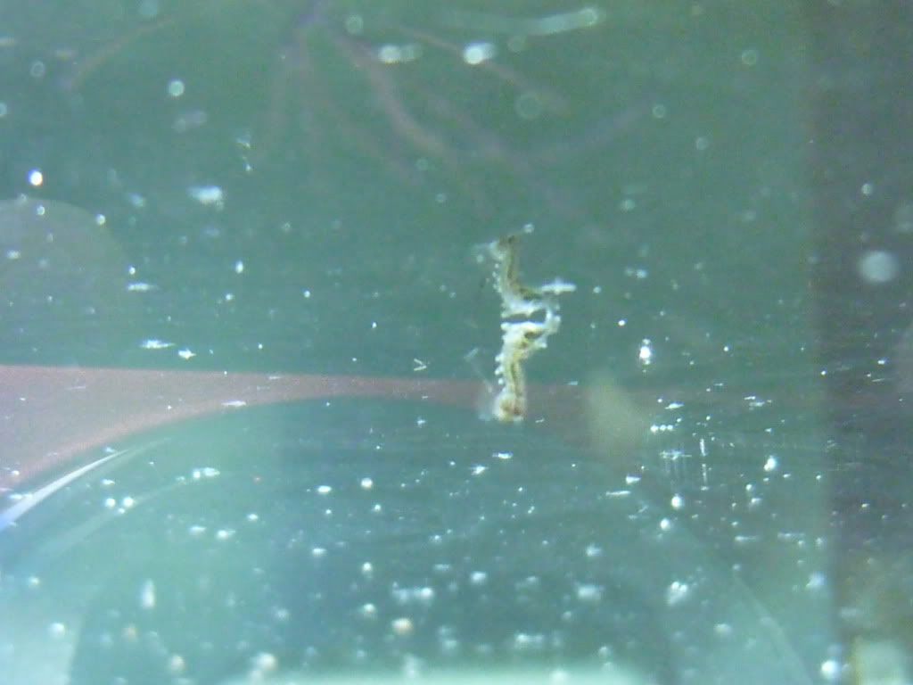 P1000134.jpg