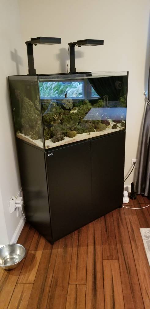 Build Thread - The 60 gallon cube I wanted