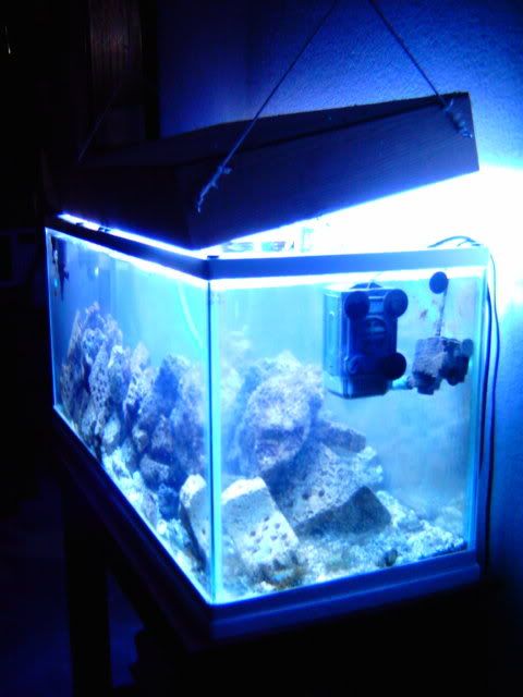 IMAG0035p.jpg