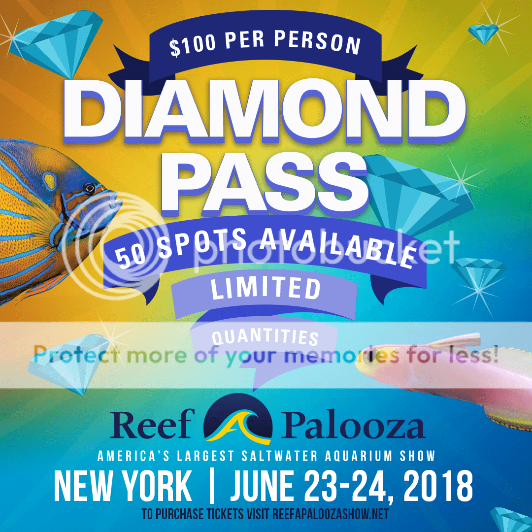 Reefapalooza_General_Diamond%20Pass_NY-2018.png
