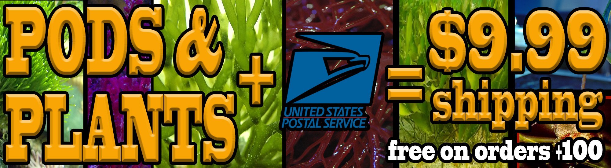 Pods-Plants-USPS-shipping.jpg