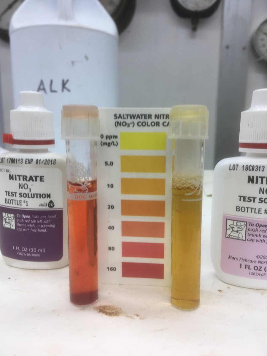 Nitrate test.JPG