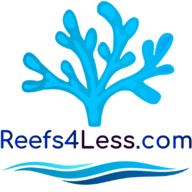www.reefs4less.com